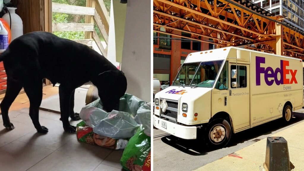 Do Drivers Have a Habit of Hurting People’s Dogs?